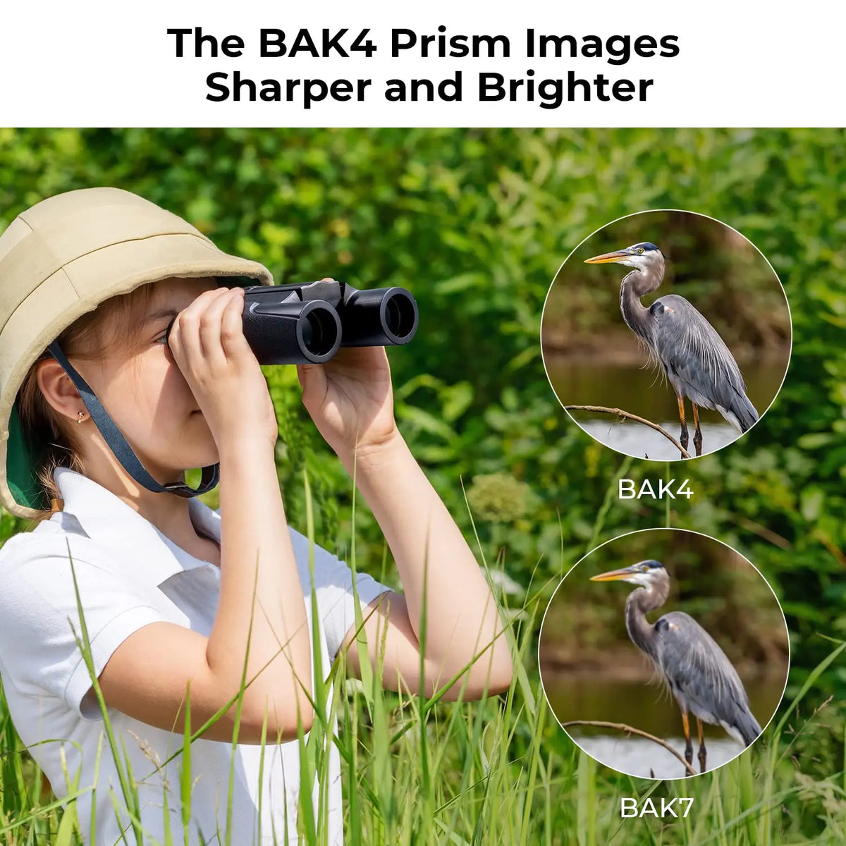 K and F Concept 10x25 Compact Binoculars Waterproof BAK4 K&F