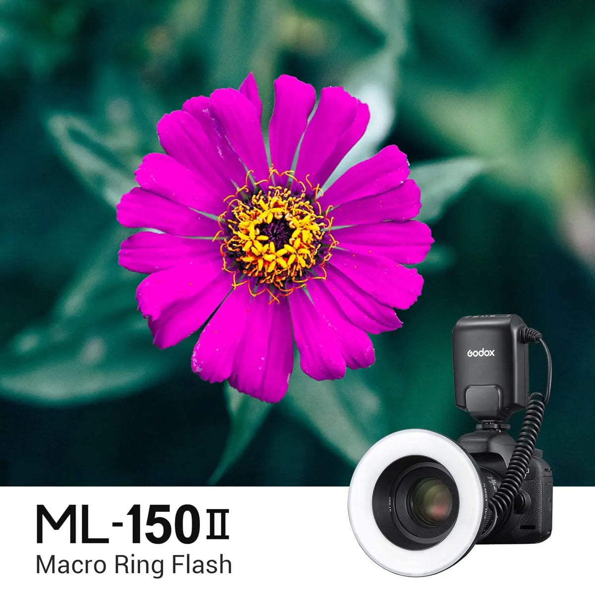 Godox ML150II Macro Ring Flash Light GN12 Godox