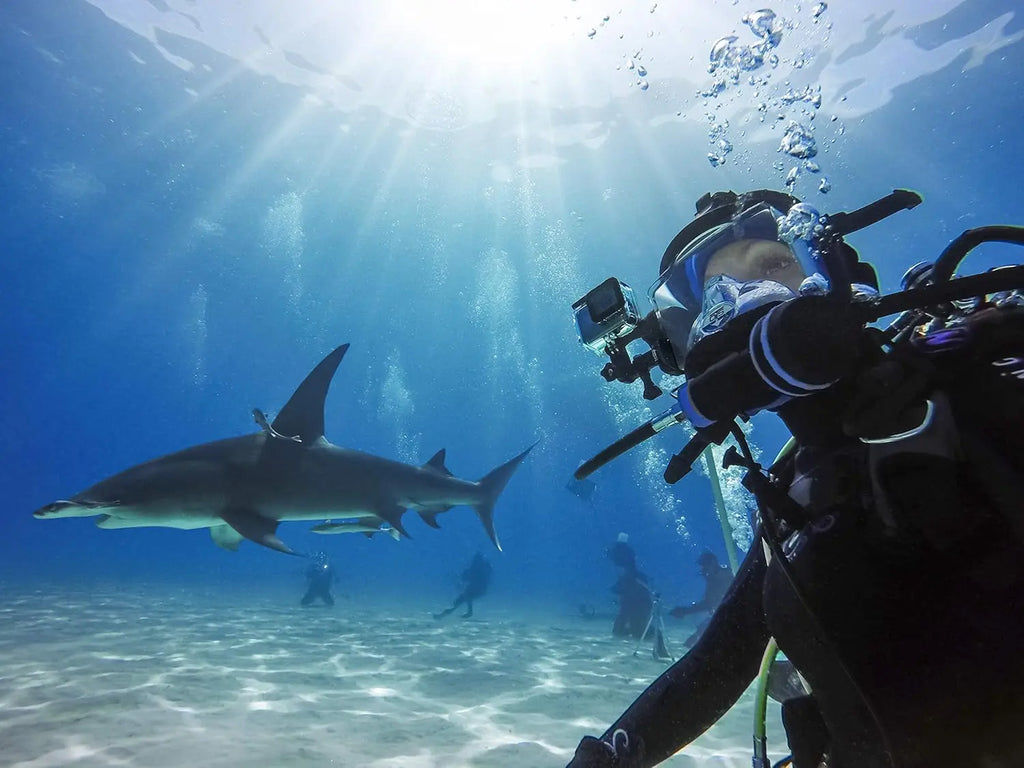 GoPro Protective Housing HERO8 Black Gopro