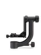 Benro GH2 Gimbal Head for Telephoto Lenses (Black) Benro