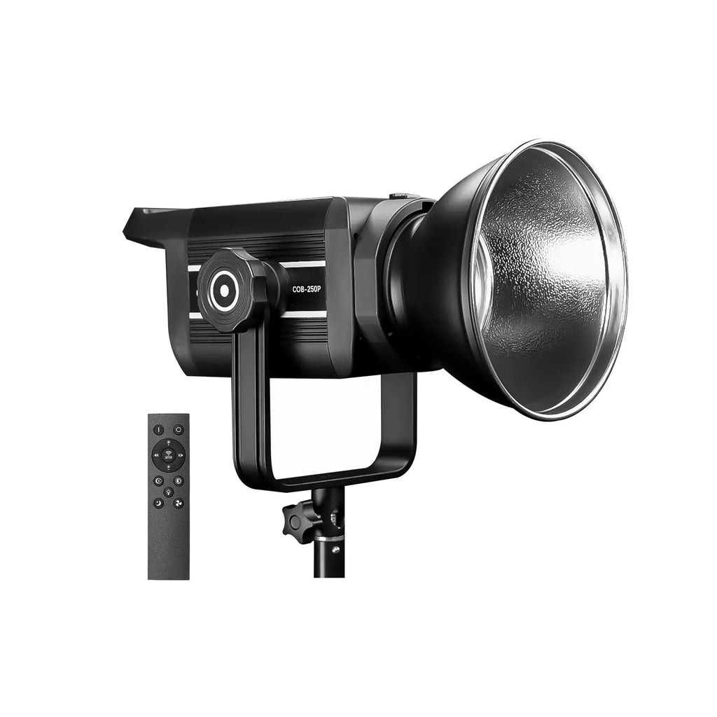 HIFFIN Professional Bi-Color LED Video Light with Remote HIFFIN