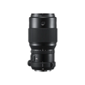 Fujifilm Fujinon GF250mmF4 R LM OIS WR Lens